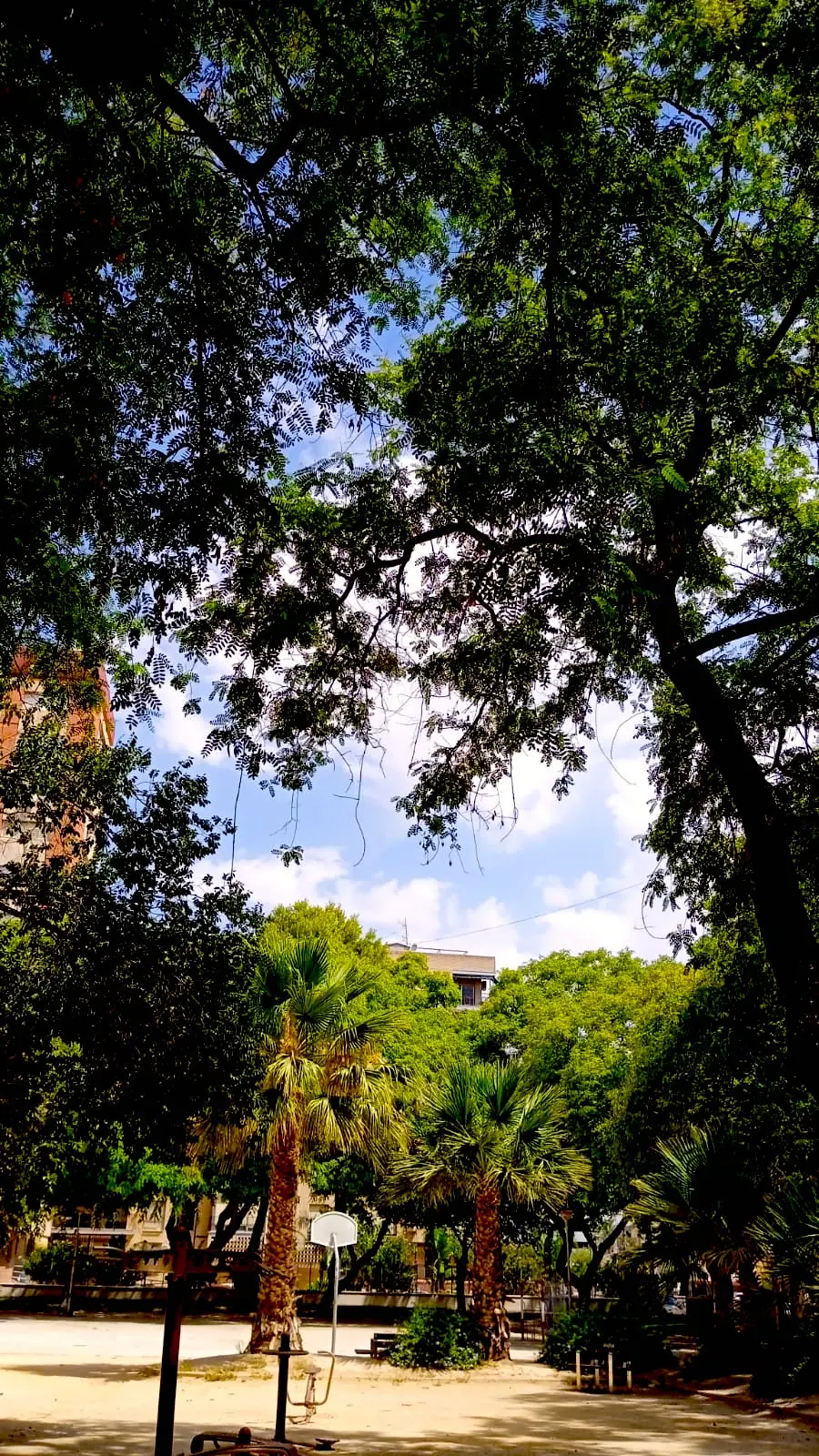 Vista de la terraza desde el jardín